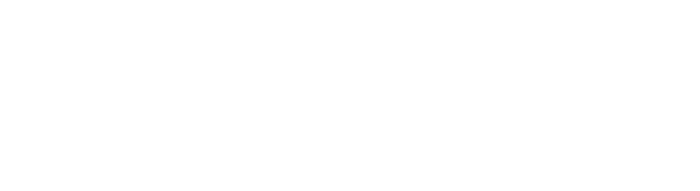 Tiran New York Üniversitesi (tiran-arnavutluk) logosu